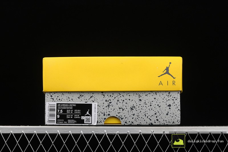 Air Jordan 4 "Lightning" (9)