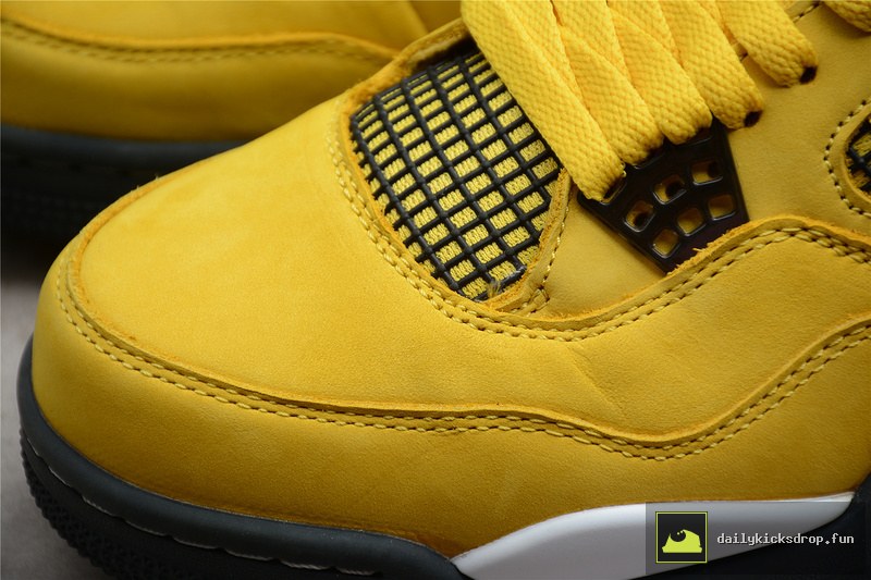 Air Jordan 4 Retro LS "Lightning" (13)