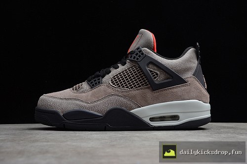 Jordan Air Jordan 4 "Taupe Haze" Taupe Haze on-foot review